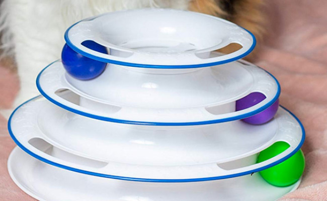 easyology amazing roller cat toy