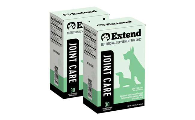 supplements for older dogs