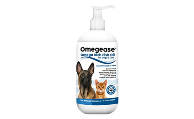 amazing nutritionals chewable fish oil for dogs