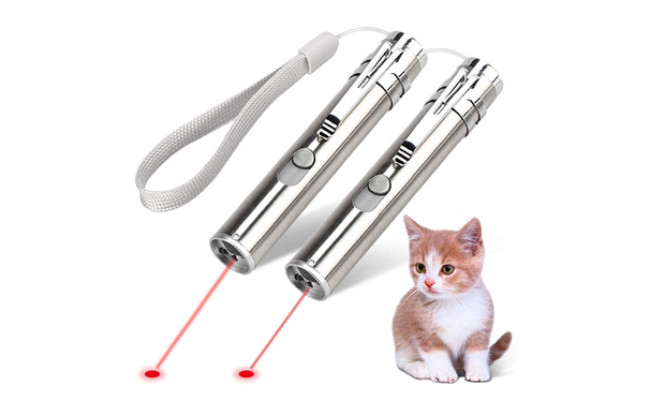 rechargeable laser pointer cat