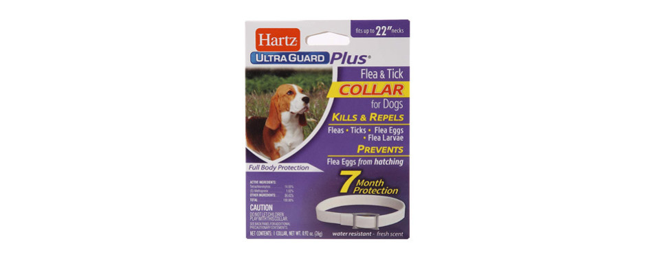 The Best Flea Collars for Dogs Reviewed in 2022 | My Pet Needs That