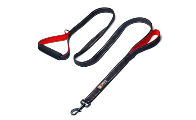 The Best Dog Leashes Review In 2021 My Pet Needs That   Heavy Duty Dog Leash By TobeDRI 6qk5swxe3uedh481v8kdg29brke0wx2swy6jlikuaoq 