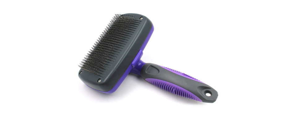 The Best Dog Shedding Brush for Your Pooch in 2022