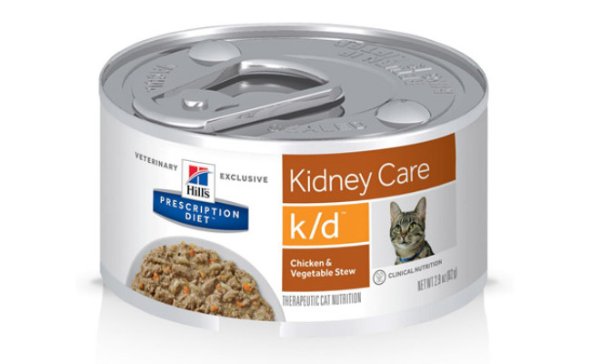 The Best Cat Food For Older Cats In 2021 