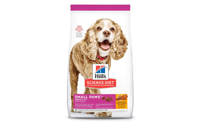 best dry dog food for senior dogs with allergies