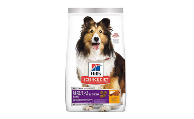 best dog food for sensitive stomach and diarrhea uk