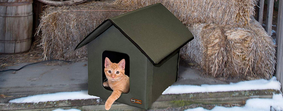 The Best Cat Houses in 2022 | My Pet Needs That