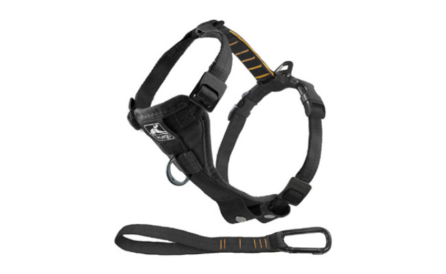 harness for anxious dogs