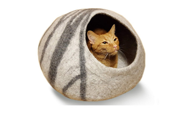 therapeutic cat beds