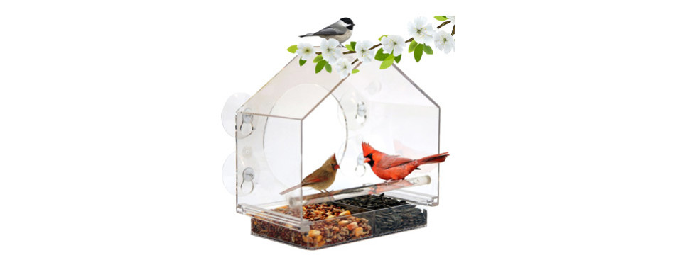 best window bird feeder for winter