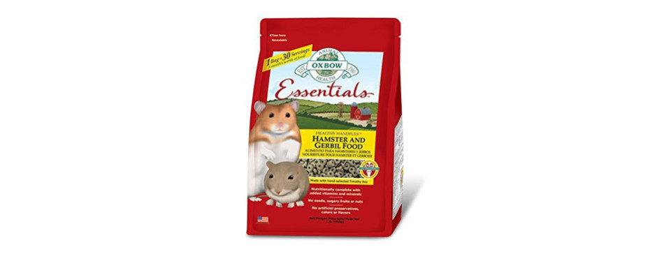 The Best Hamster Food (Review) in 2021 | My Pet Needs That