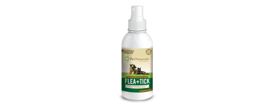 Best Tick Repellents for Dogs in 2022 | My Pet Needs That