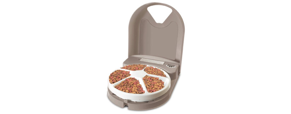 best automatic dog feeder with timer