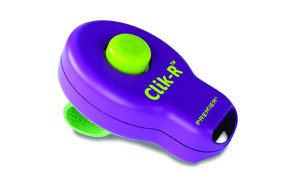 best training clicker