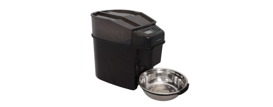 Cat Mate C300 Automatic Dog Cat Feeder 3 Cup Chewy Com