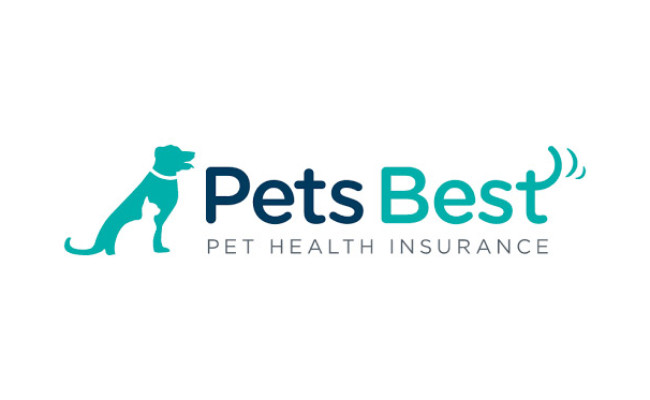How to Choose The Best Pet Insurance | My Pet Needs That
