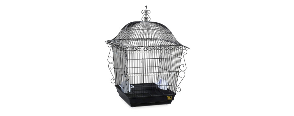 The Best Bird Cages in 2022 | My Pet Needs That