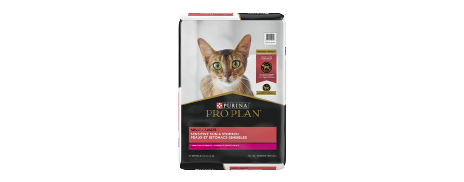 Purina Cat Food Review | My Pet Needs That