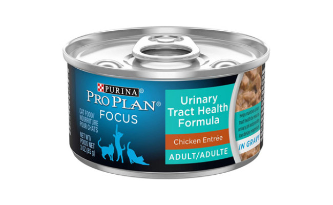 purina pro plan cat food review