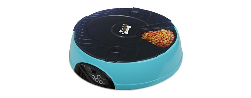 The Best Automatic Cat Feeders (Review) in 2019 | My Pet Needs That