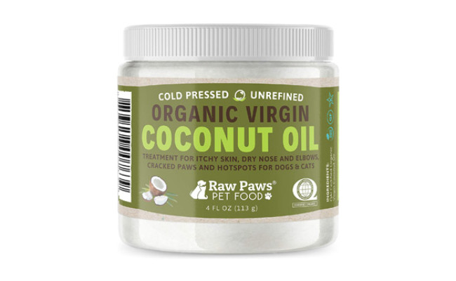 The Best Coconut Oil For Dogs in 2022 | My Pet Needs That