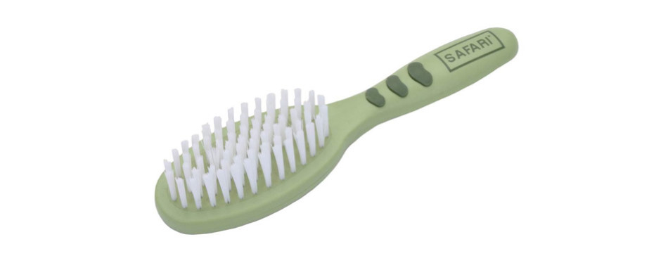 The Best Brush For Cats (Review) in 2020 | My Pet Needs That