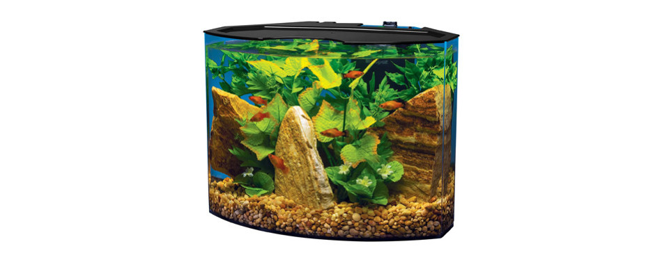 The Best Betta Fish Tanks in 2022 - Tetra Crescent Acrylic Aquarium Kit 6xoxwaufnv7xy8mmknD16ne80z2stmxmcr5qk543ng2