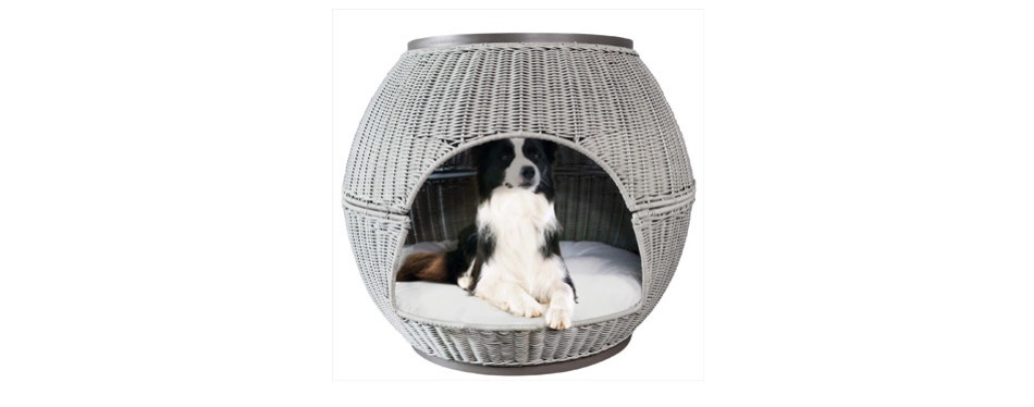 The Best Igloo Dog Houses in 2022 | My Pet Needs That