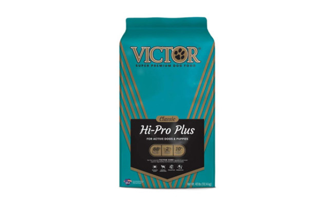 victor classic dry dog food