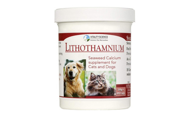 best source of calcium for dogs