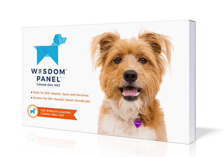 Wisdom panel hotsell dog test