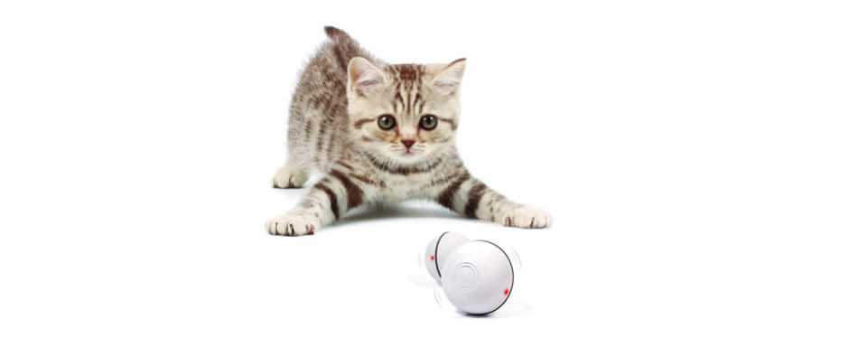 yofun interactive cat toy