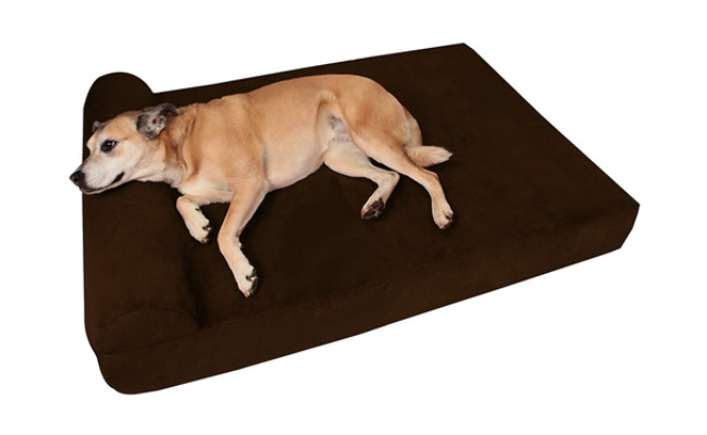 The Best Orthopedic Dog Beds (Review) in 2021 | My Pet Needs That