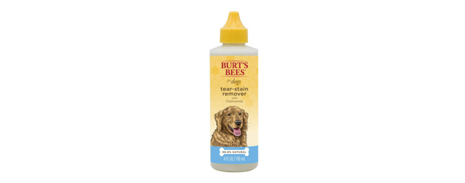 The Best Dog Tear Stain Removers (Review) in 2021 | My Pet Needs That