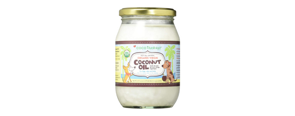 The Best Coconut Oil For Dogs in 2022 | My Pet Needs That