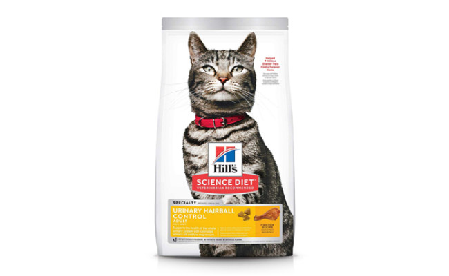 wet cat food for constipation
