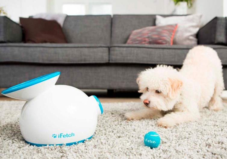 ifetch for small dogs