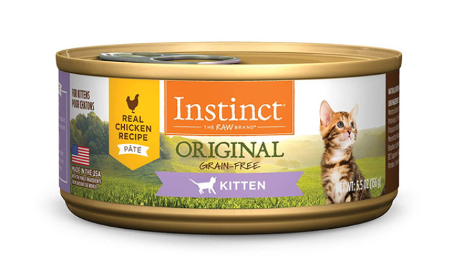 best kitten treats 2018