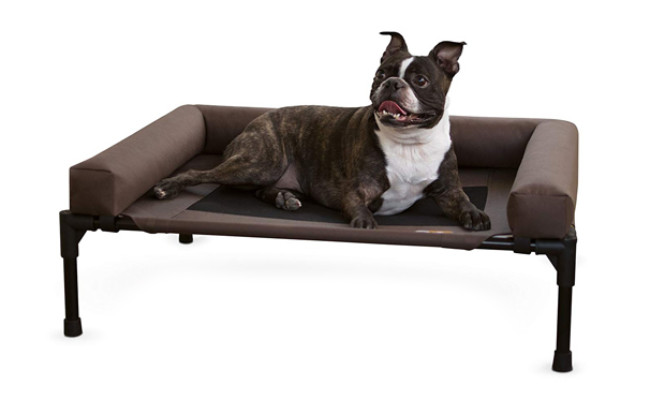 high raised dog bed