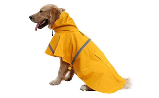 rain dog coats