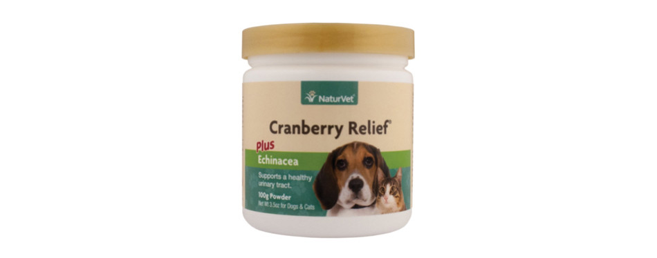 The Best Cranberry Supplements For Dogs in 2022