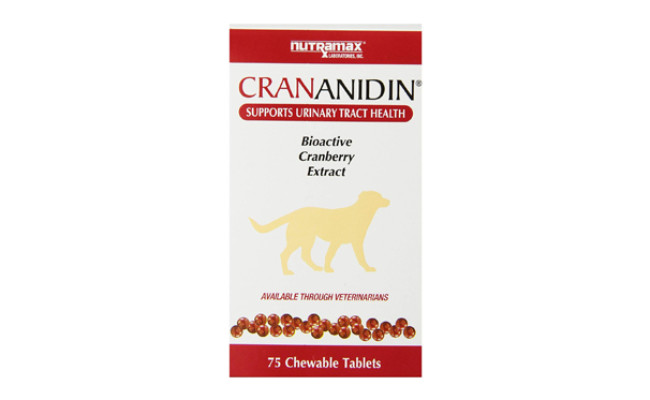 The Best Cranberry Supplements For Dogs in 2022