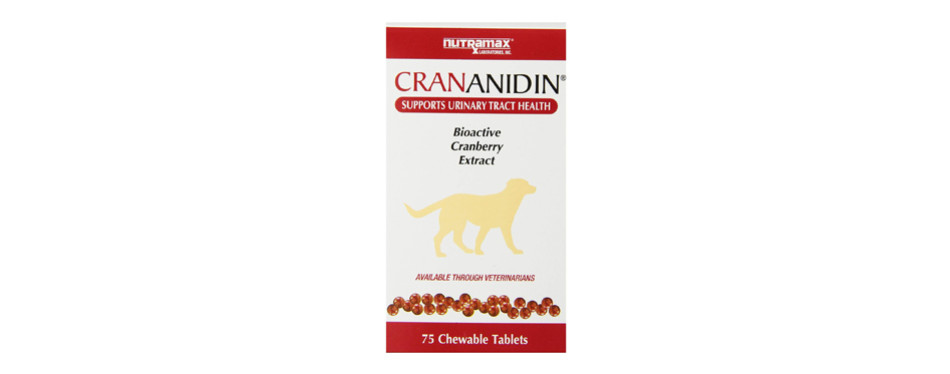 The Best Cranberry Supplements For Dogs in 2022