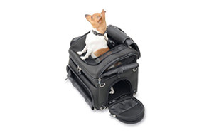 harley pet carrier