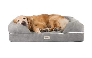best dog bed with washable cover