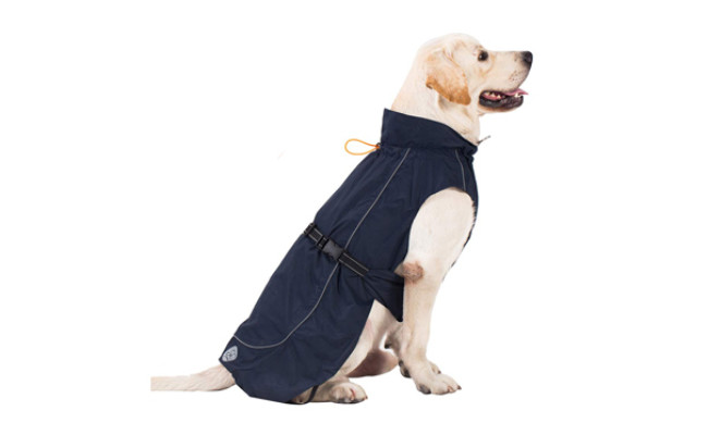 The Best Dog Raincoats (Review) in 2021 | My Pet Needs That